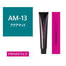プリミエンス AM-13 80g【医薬部外品】 1