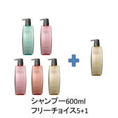 カラーケアSHP600.jpg