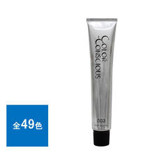カラーコンシャス《ファッションカラー》 80g【医薬部外品】
