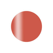 Calgel カラーカルジェルプラス オレンジバーミリオン 2.5g