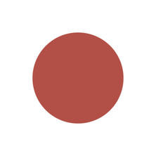 [PG-CE989] プリジェルカラーEX サンドブリック