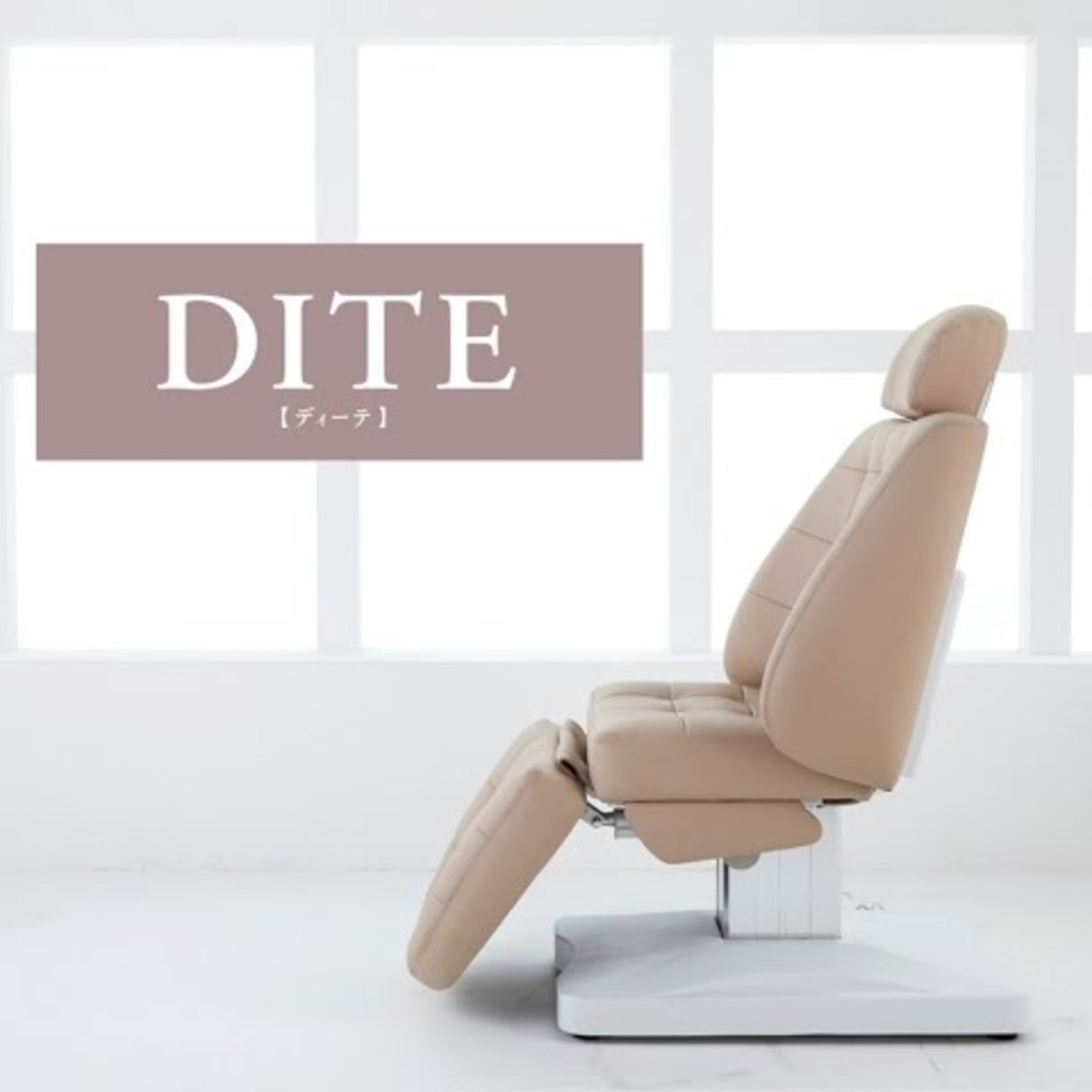 電動3モーターリクライニングチェア Dite ディーテ レッグレストカバー付きの卸 通販 ビューティガレージ