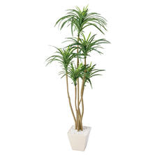 フェイクグリーン 観葉植物＜コンシナ＞120cm