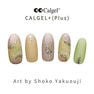 Calgel カラーカルジェルプラス パールミモザ 2.5g 3