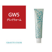 グレイシスカラー《グレイカラー》 GW5 80g【医薬部外品】