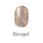 リッカジェル カラージェル 295G 3g