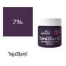 ディレクションカラー 100ml＜プラム＞ 1