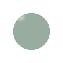 PRESTO（プレスト）アンリミテッドカラー JH009 2.7g