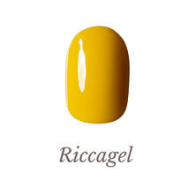 リッカジェル カラージェル 100A 3g