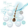 【Flap eyelashes】FFカールコスメセット ＜1剤ＣＴ＆2剤＞各25g 5