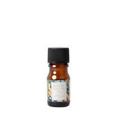 【数量限定】生活の木 ウィンターシトラス ブレンドエッセンシャルオイル シトラス＆フォレスト 10ml