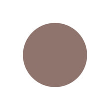 [PGU-S088] プリジェル ミューズ ウォルナットヴェール 3g