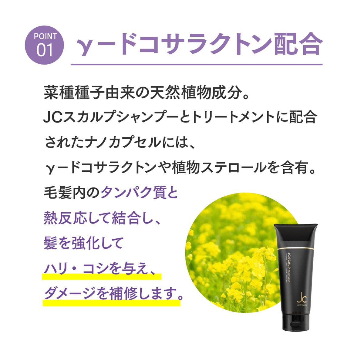 JC SCALP JC スカルプトリートメント 200gの卸・通販 | ビューティガレージ