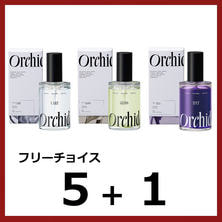 キャンペーンC メゾンオルキデ フリーチョイス（100ｍｌ&times;6本）