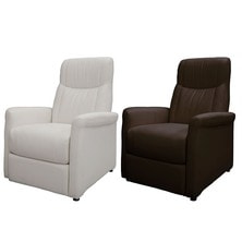 ラウンジチェアDXⅡ（レッグレスト連動タイプ） 選べる２色