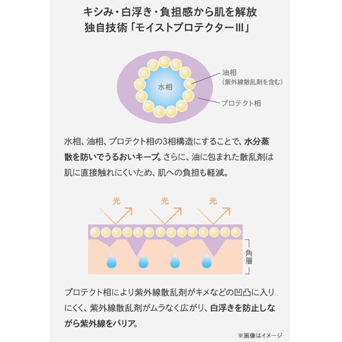 シーボン フェイシャリスト プロテクトUV 40gの卸・通販