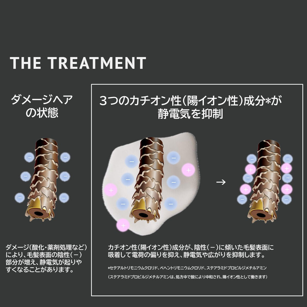 HAIR STANDARD ザ・トリートメント2000gの卸・通販 | ビューティガレージ