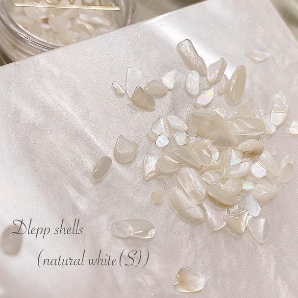 NOVEL（ノヴェル）Dlepp shells（natural white（S））