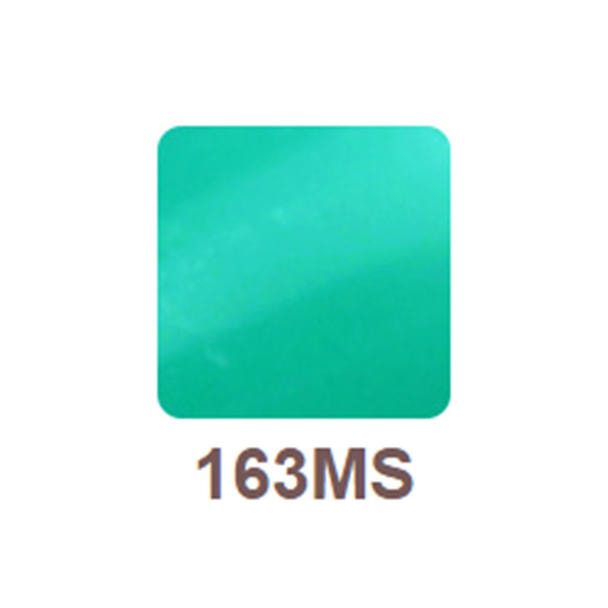 リッカジェル カラージェル 163MS 3g