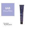 カラーコンシャス 6AB(アッシュブラウン)《グレイカラー》 80g【医薬部外品】 1