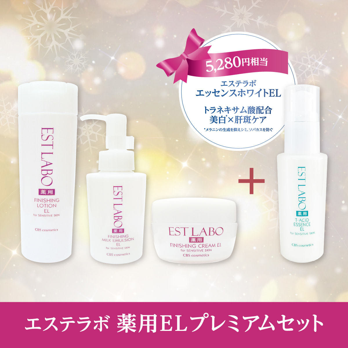 数量限定】エステラボ プレミアムウィンタースキンケアセットの卸
