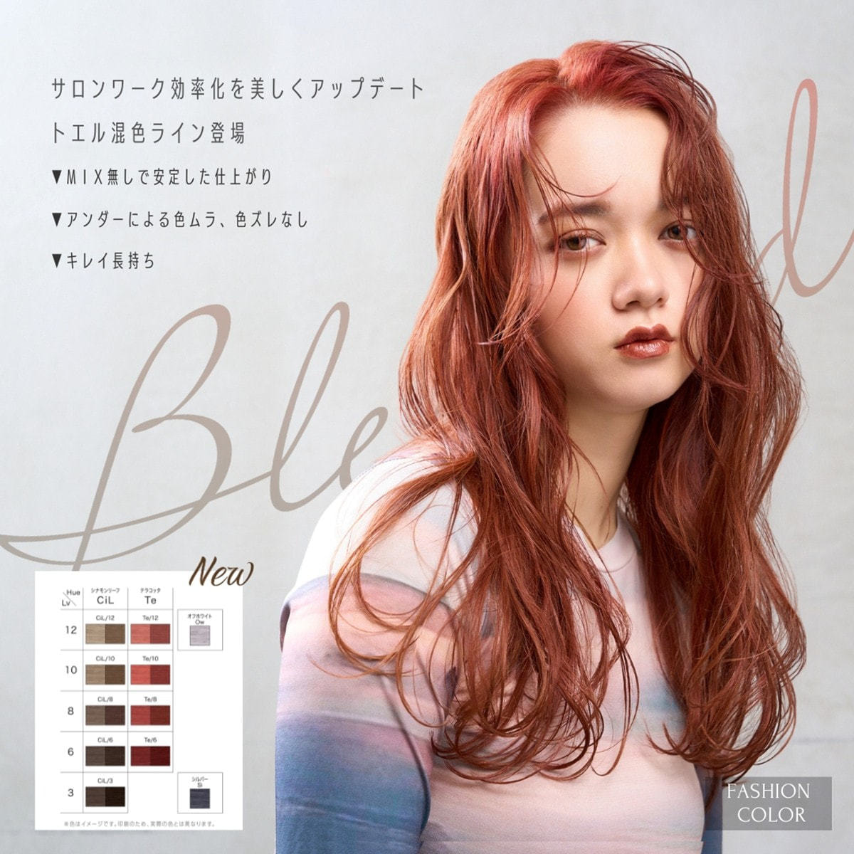 トエルカラー Te/10(テラコッタ10)100g《ファッションカラー》【医薬部
