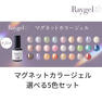 選べるマグネットカラー5色セット 1