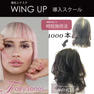 増毛エクステ WING UP スクール クリエーターコース 1