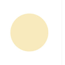 [PG-CE982] プリジェルカラーEX レモンシャンティ