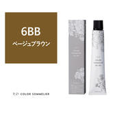 R-21 カラーソムリエ HA/NA 6BB 80g《グレイカラー》【医薬部外品】