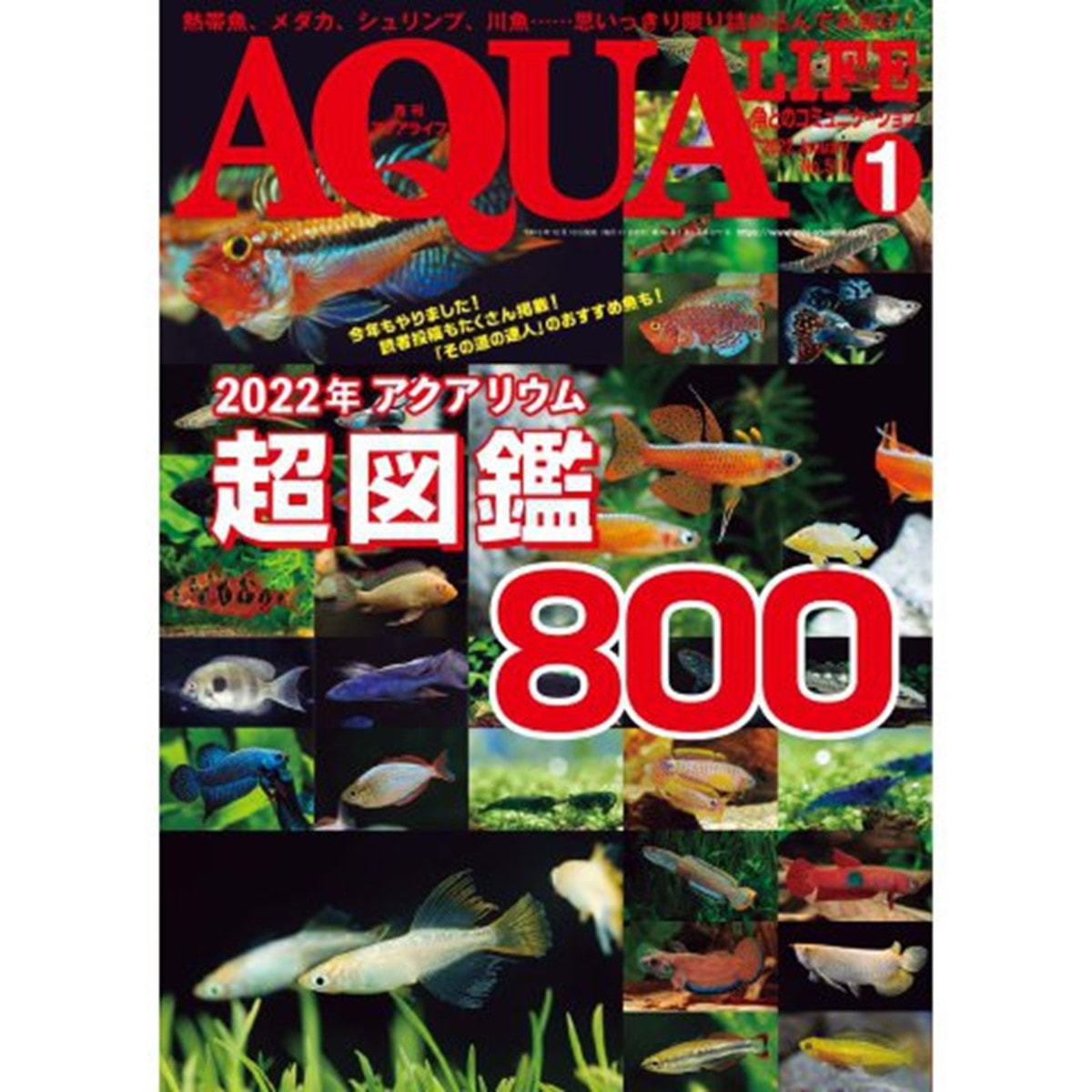 定期購読】アクアライフ [毎月11日・年間12冊分]の卸・通販