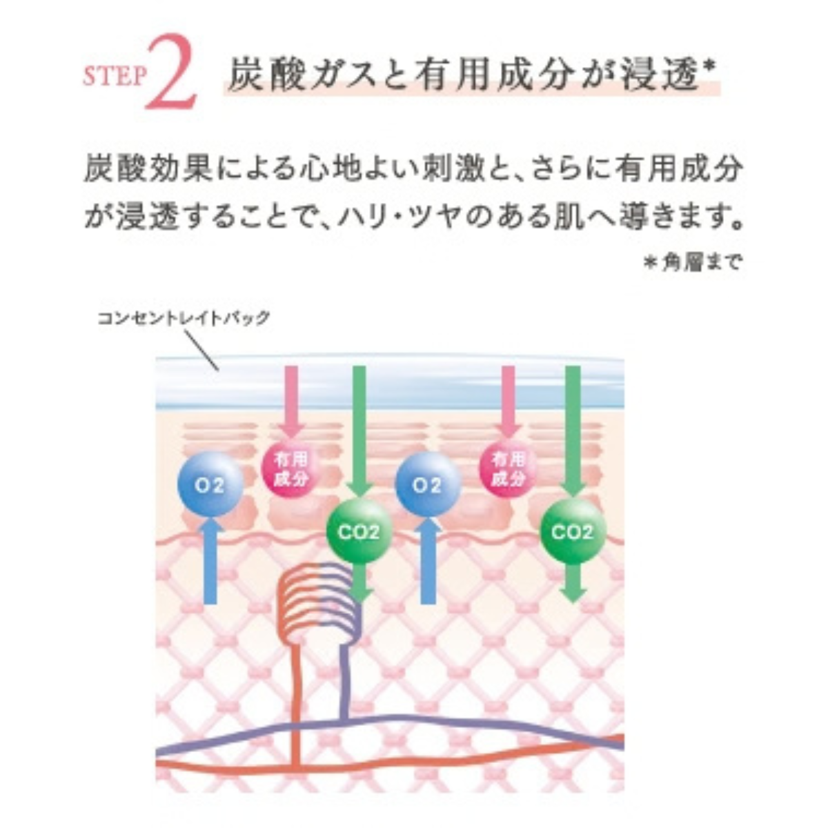 フェース クロニクル コンセントレイトパック（1剤50g、2剤40g×10包