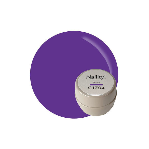 Naility！（ネイリティー）カラージェル コンテナタイプ C1704 パープル 1