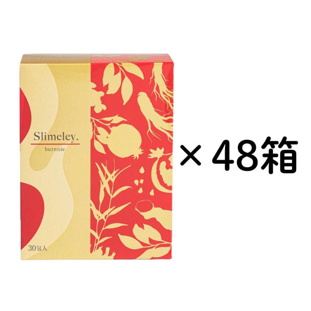 スリムレイ バーニー 15g×30包　48箱セット 1