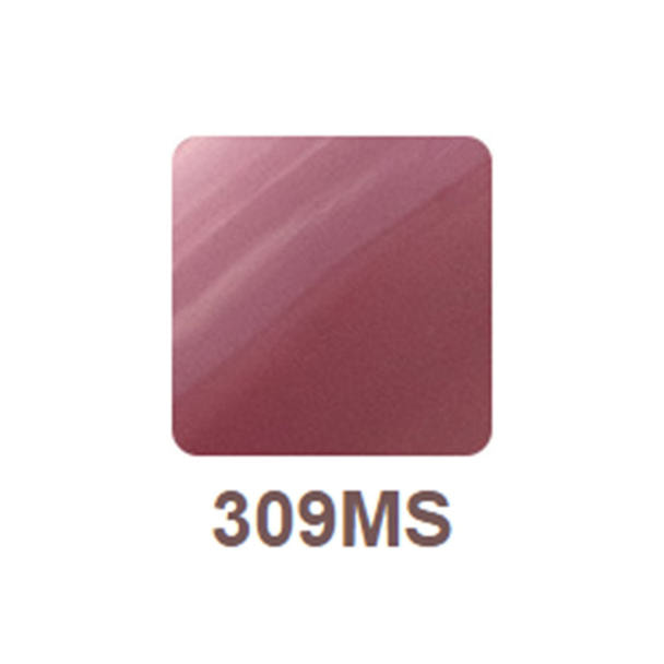 リッカジェル カラージェル 309MS 3g