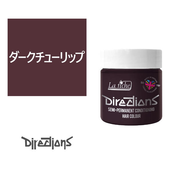 ディレクションカラー 100ml＜ダークチューリップ＞ 1