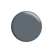 Calgel（カルジェル）カラージェル オニキスグレー 4g