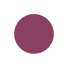 [PGU-M324] プリジェル ミューズ カシスベリー 3g 