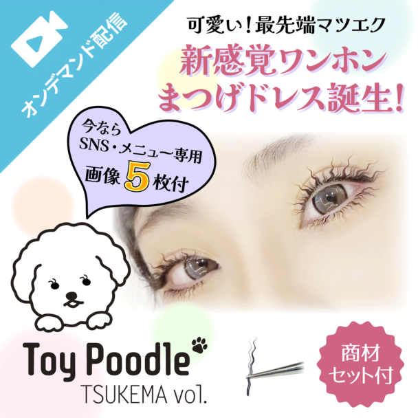  最新!!＜トイプードル・ワンホンボリューム＞ ディプロマ＆SNS画像データー＆商材セット 1