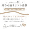 耳つぼジュエリー来場セミナー ～その場で体感・その場で習得！直接学べる実践型～ 3