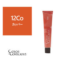 【アウトレット】カラーコンシャス 12Co(カッパー)《ファッションカラー》 80g【医薬部外品】