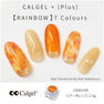 Calgel カラーカルジェルプラス シアーオレンジ 2.5g 3