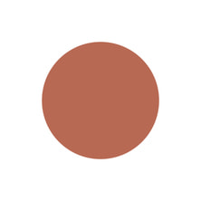 [PGU-M184] プリジェル ミューズ アーモンドキャラメリゼ 3g