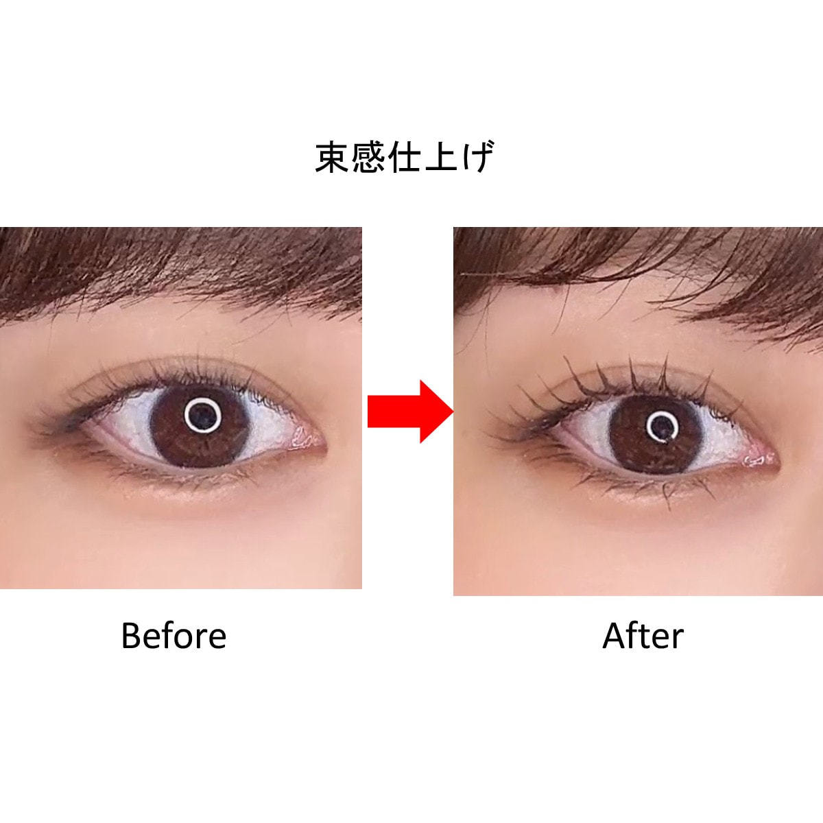 AVANCE】まつ毛美容液 6.5gの卸・通販 | ビューティガレージ