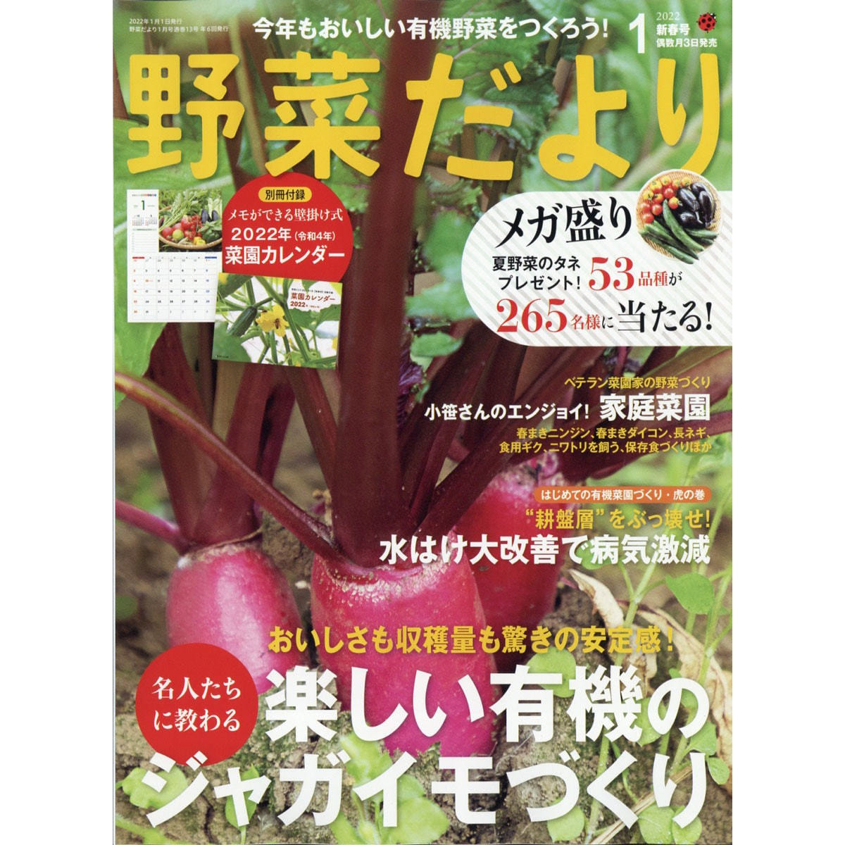 定期購読 野菜だより 偶数月3日 年間6冊分 の卸 通販 ビューティガレージ