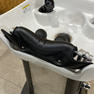 【中古】タカラベルモント製　リアシャンプー用ボール 『YUME OASIS（ユメオアシス）下部ユニットセット』ダークブラウン 14