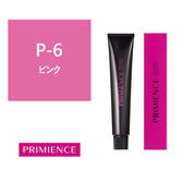 プリミエンス P-6 80g【医薬部外品】