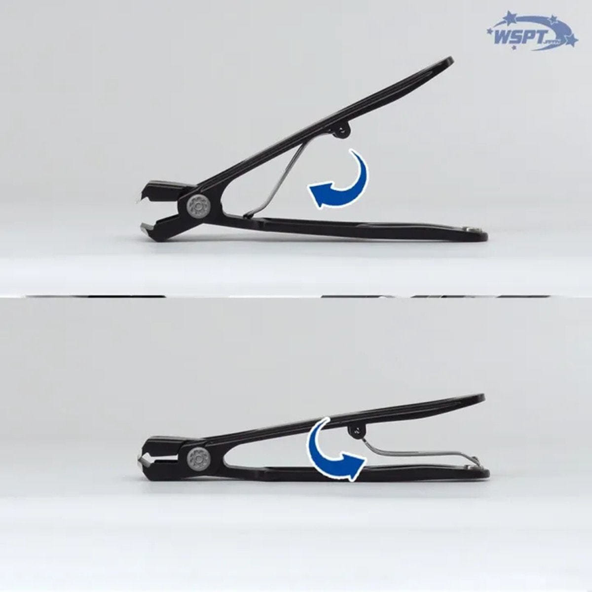 三線用　爪　鯨髭＋鯨歯　Aタイプ　最終出品分 鯨尾羽 さらし鯨 500g×2パック : まるげい - 通販 - Yahoo