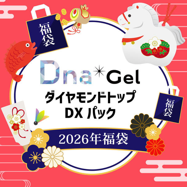 数量限定！】DnaGel(ダイヤモンドトップ)DXパック 2026年福袋の卸