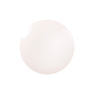 KOKOIST Color Gel 2.5g E-270S Warmish Sheer Ivory